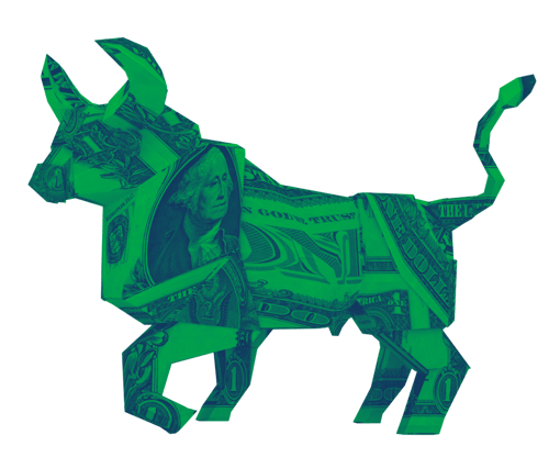Bull Bull